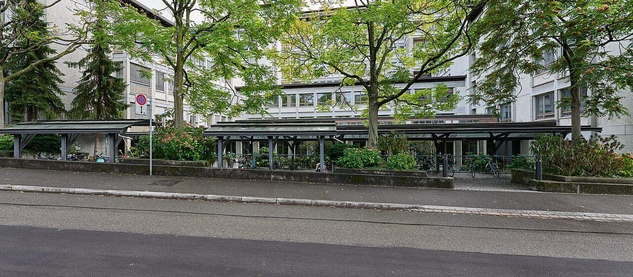 A quiet, tree-lined residential street in Oberstrass, Zürich