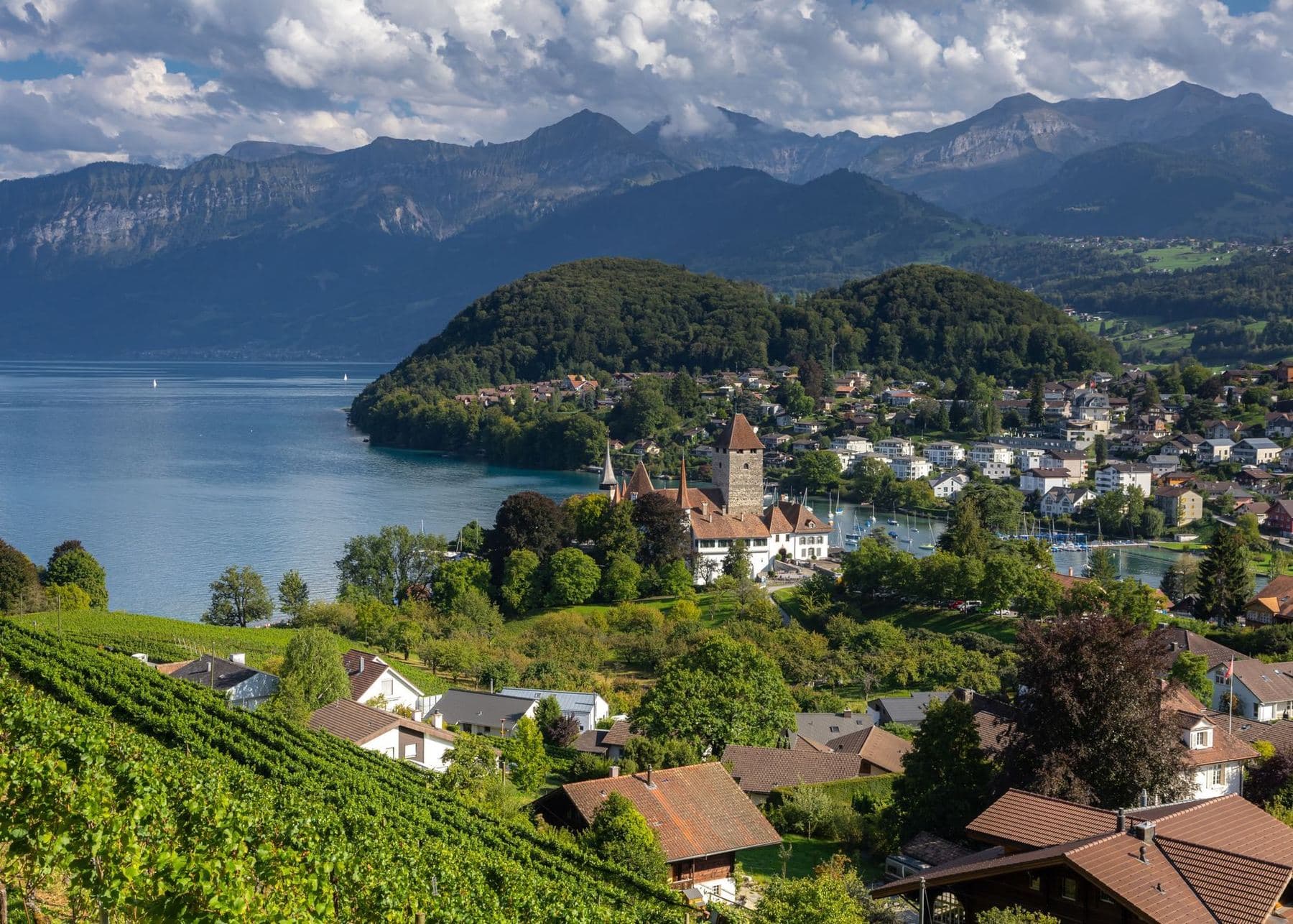 Eine Schweizer Altstadt in einem Flusstal mit den Alpen im Hintergrund