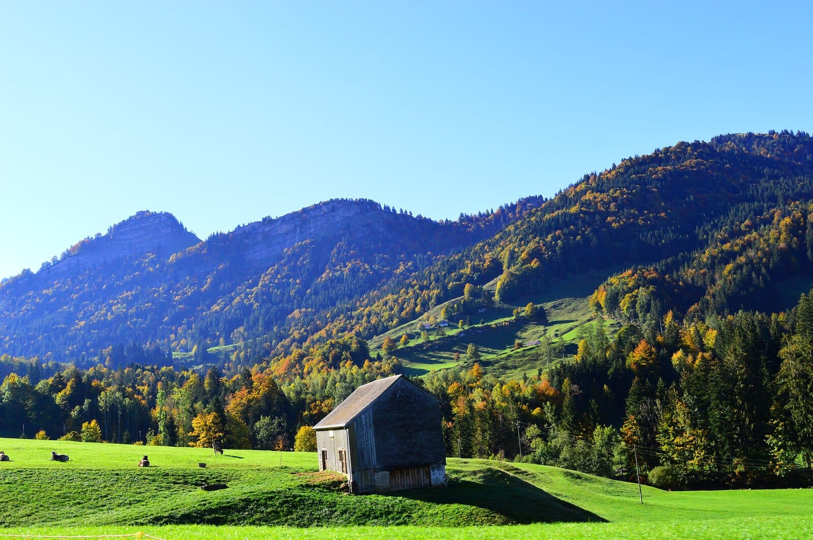 Sanfte grüne Hügel unterhalb des Säntis