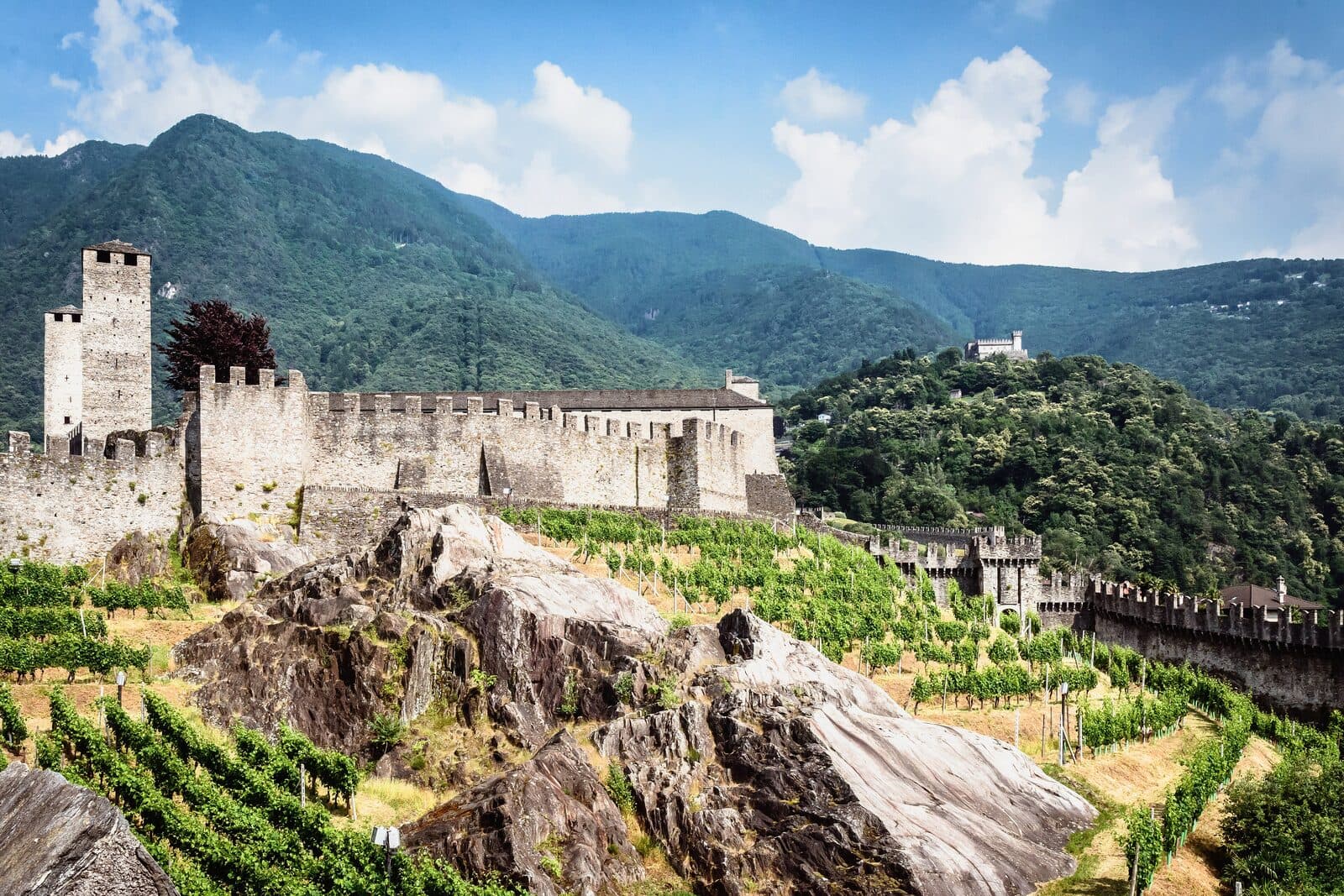 Luganersee mit Palmen im südlichen Licht und den Burgen von Bellinzona