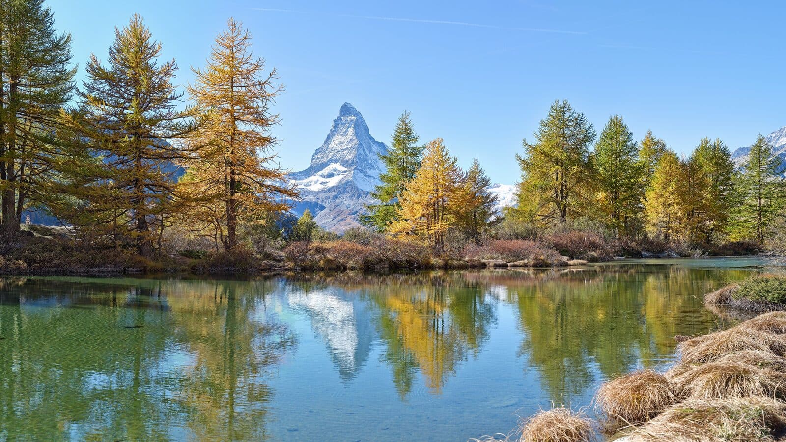 Das Matterhorn und die Weinberge des Rhonetals
