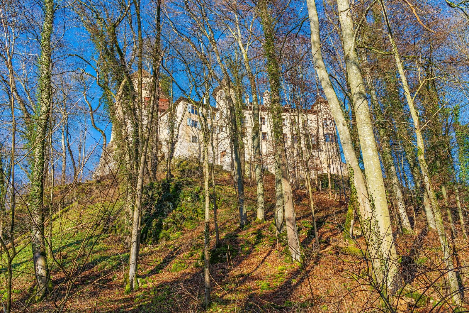 Jura-Vorberge mit Kirschbaumgärten und Burgen auf den Hügeln