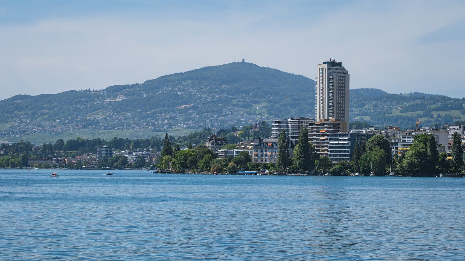 Una città rappresentativa sul Lago Lemano con vigneti