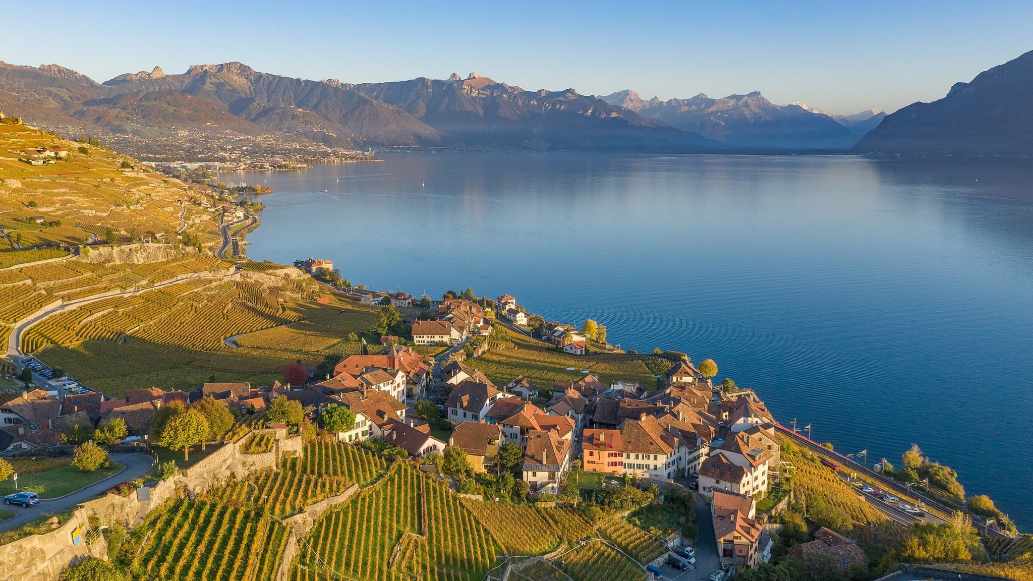 Weinterrassen des Lavaux über dem Genfersee mit einem Seedorf und den Alpen im Abendlicht